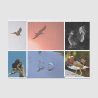 Bird Theme Crow Duck Condor Egret Mixed Media Seidenpapier