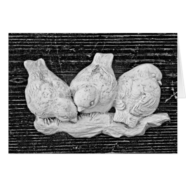 Bird Trio (Vorderseite (Horizontal))