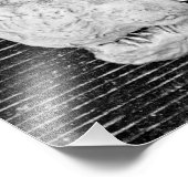 Bird Trio Fotodruck (Ecke)