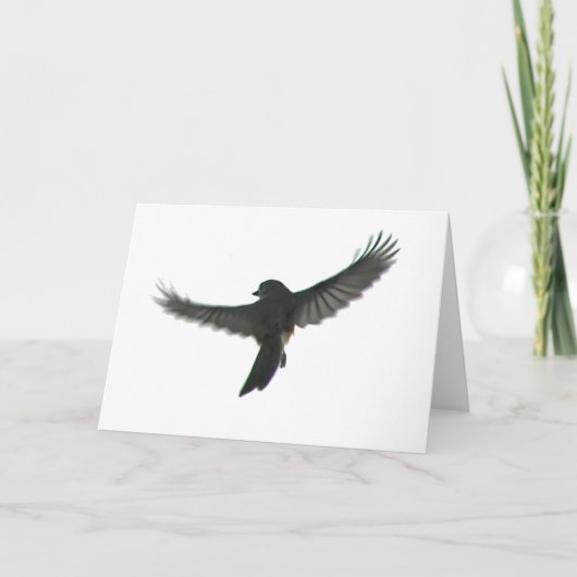 Bird Watcher Karte (Vorderseite)