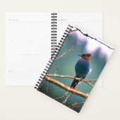 Bird Watchers Planner Planer (Anzeige)