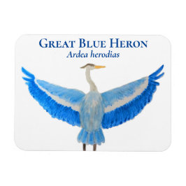Bird Watercolor Scientific Great Blue Hery Magnet