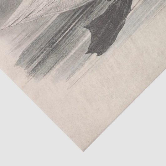 Bird White Swan Ephemera Decoupage Seidenpapier (Detail)