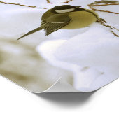 Bird Winter Foto Value Poster Paper (Matte) (Ecke)