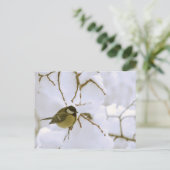 Bird Winter Fotografie Postcard Postkarte (Stehend Vorderseite)