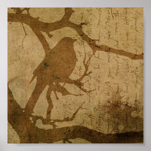 Bird wir haben Branch in Brown Poster (Vorne)