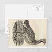 Bird Woodcut Postcard Postkarte (Vorne/Hinten)