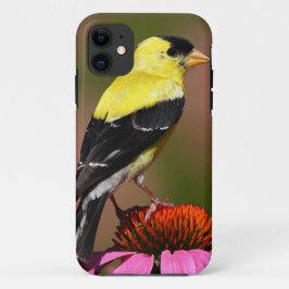 Bird yellow_iphone Case-Mate iPhone hülle