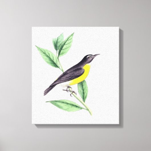 Bird | Zazzle_Growshop. Leinwanddruck (Vorderseite)
