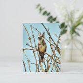 Birdagw Postkarte (Stehend Vorderseite)