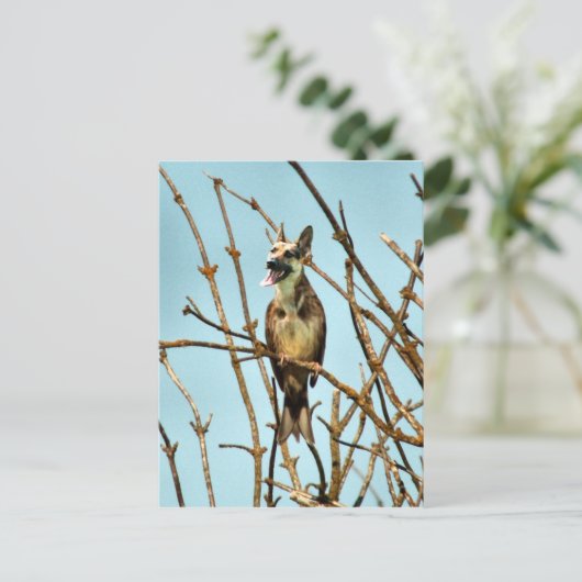 Birdagw Postkarte (Stehend Vorderseite)