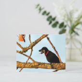 Birdagw Postkarte (Stehend Vorderseite)