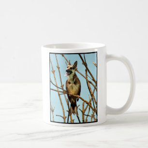 Birdagw Tasse