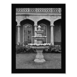 Birdbath Fotodruck