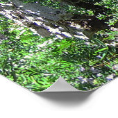 Birdbath on Tree Stump Poster (Ecke)