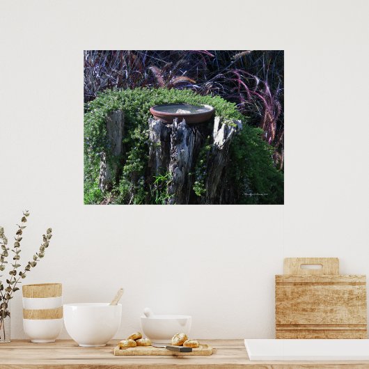 Birdbath on Tree Stump Poster (Küche)