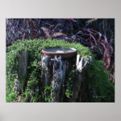 Birdbath on Tree Stump Poster (Vorne)