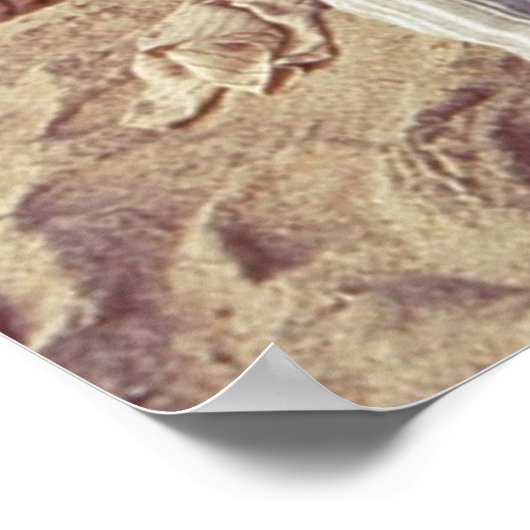 Birdcage Beach Vibes Poster (Ecke)