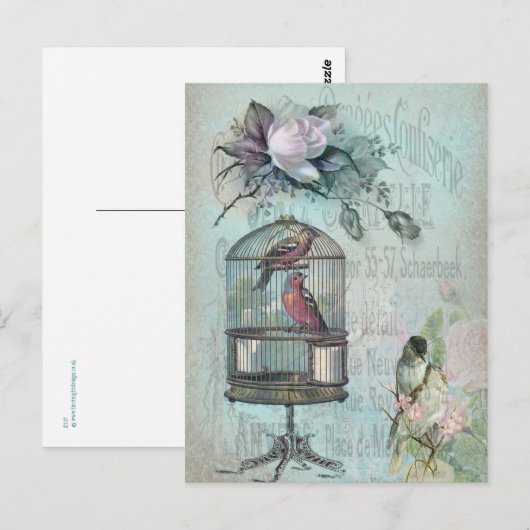 Birdcage Blossom Postkarte (Vorne/Hinten)