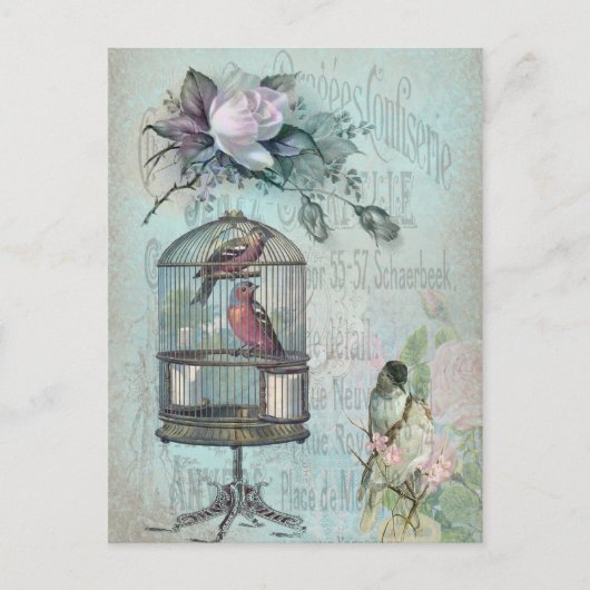 Birdcage Blossom Postkarte (Vorderseite)