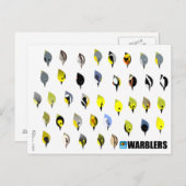 BirdFace Warbler Postcard Postkarte (Vorne/Hinten)