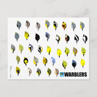BirdFace Warbler Postcard Postkarte