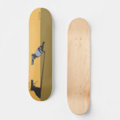 BIRDGUN SCHATTEN SKATEBOARD (Vorderseite)