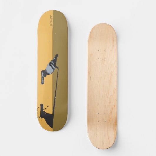 BIRDGUN SCHATTEN SKATEBOARD (Vorderseite)