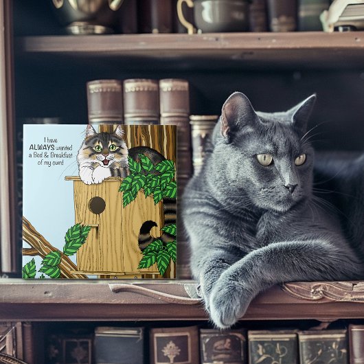 Birdhouse Bed Breakfast Cat Fliese
