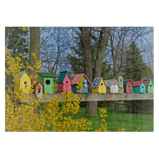 Birdhouse Boulevard Schneidebrett (Vorderseite)