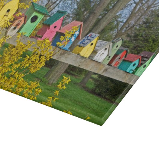 Birdhouse Boulevard Schneidebrett (Ecke)