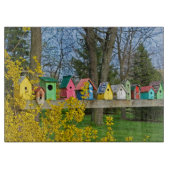 Birdhouse Boulevard Schneidebrett (Vorderseite)