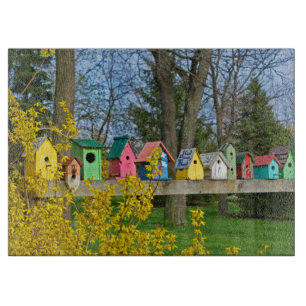 Birdhouse Boulevard Schneidebrett