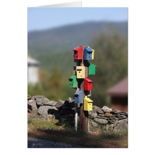 Birdhouse Condo (Vorne)