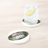 Birdhouse Edited Untersetzer (Seite)