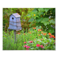 Birdhouse Foto Print
