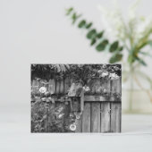 Birdhouse im Sommer Postkarte (Stehend Vorderseite)