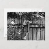 Birdhouse im Sommer Postkarte (Vorne/Hinten)