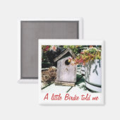 Birdhouse Magnet (Vorderseite/Rückseite)