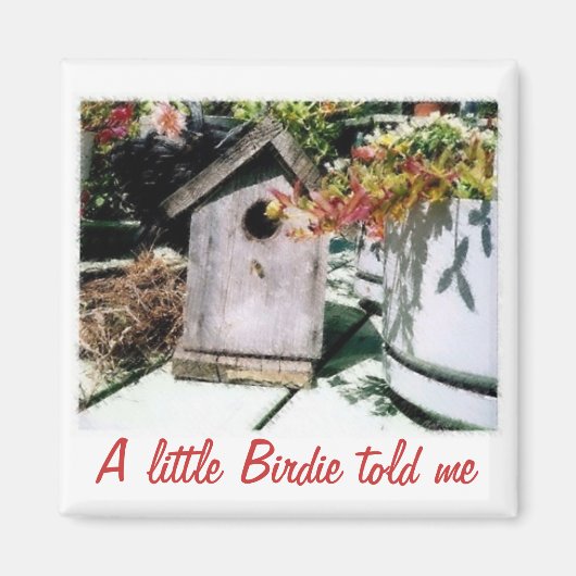 Birdhouse Magnet (Vorne)