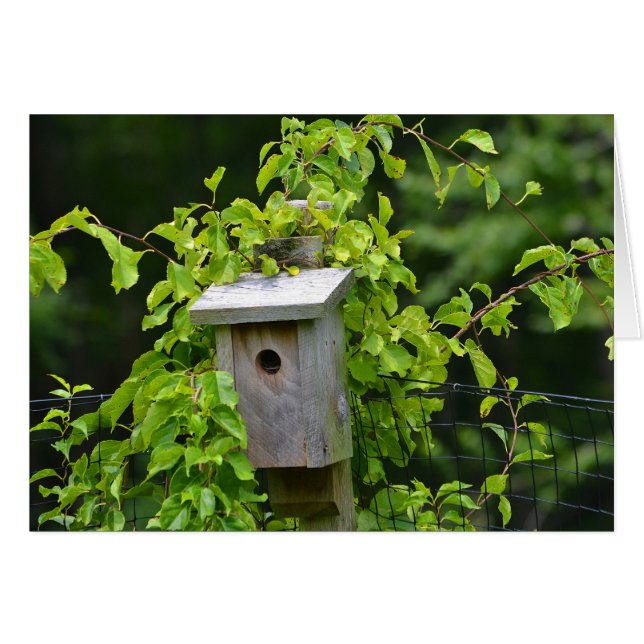 Birdhouse Notecard (Vorderseite (Horizontal))