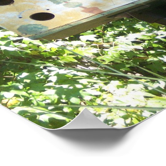 Birdhouse Poster (Ecke)