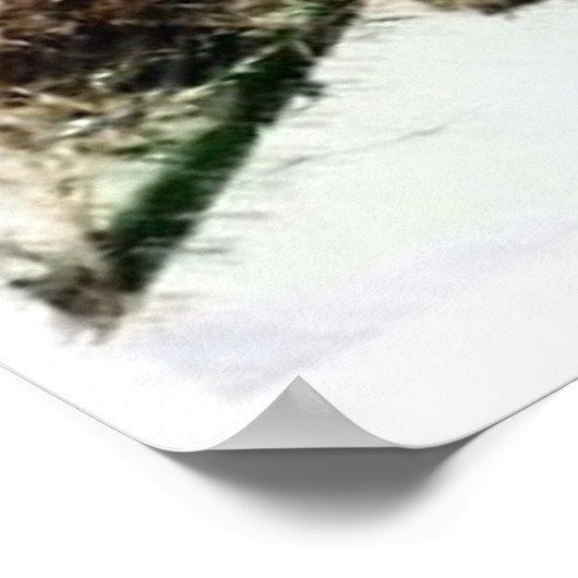 Birdhouse Poster (Ecke)