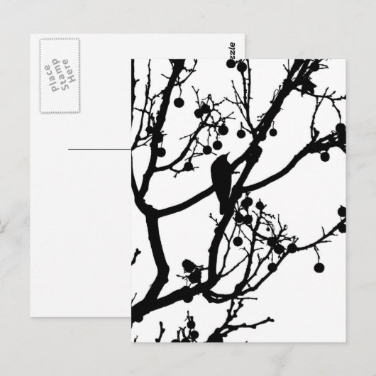 Birdie 4 postkarte (Vorne/Hinten)