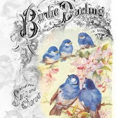 Birdie Darling Blue Birds Cherry Blossom Decoupage Seidenpapier