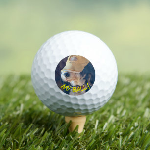 Birdie the Bernedoodle in gelbem Hut Golfball
