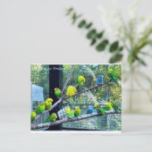 Birdies Postkarte (Stehend Vorderseite)