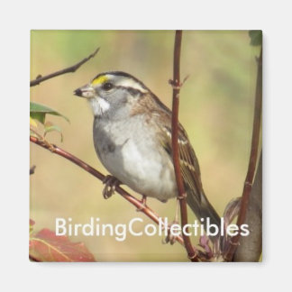 BirdingCollectibles Magnet