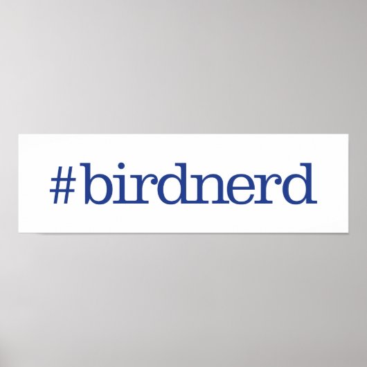 #birdnerd poster (Vorne)