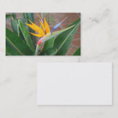 birdofparadise Visitenkarten Visitenkarte (Vorne/Hinten)